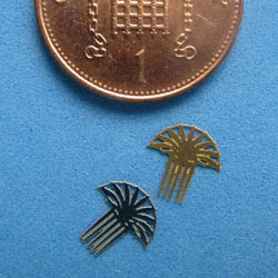 2 FAN Combs 